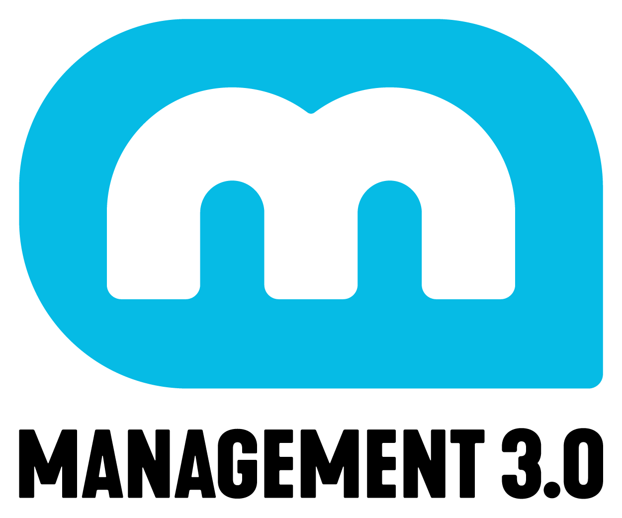 Management 3.0 Logo